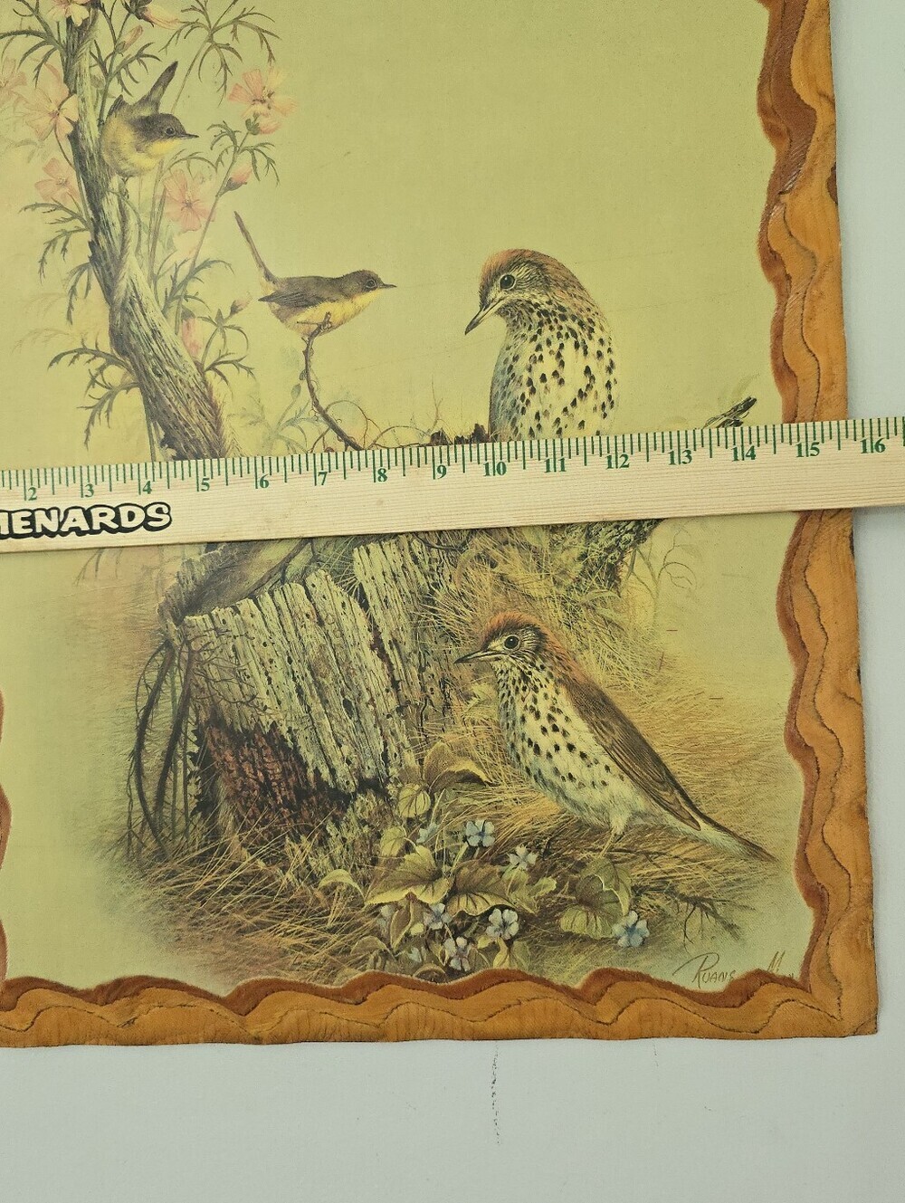 Vintage Woodland Songster print by Ruane Manning Art Birds Rustic Wood Decor Mcm - Picture 11 of 13